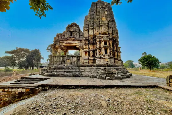 0111821 Toteshvara Mahadeva mandir, Murayata group of temples, Kadwaha MP 150
