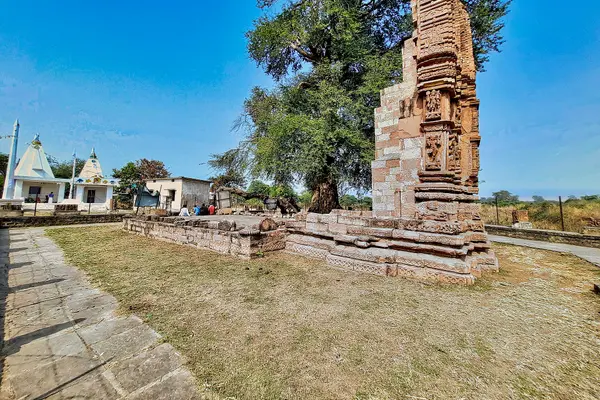 0010822 Deokirari Shiva temple, Kirari Godhi, Chhattisgarh 023