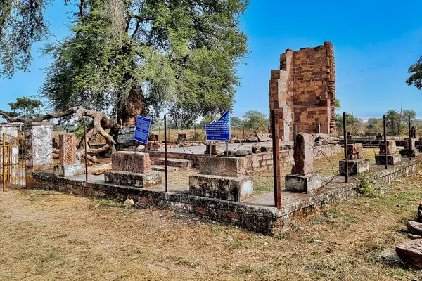 0010822 Deokirari Shiva temple, Kirari Godhi, Chhattisgarh 007