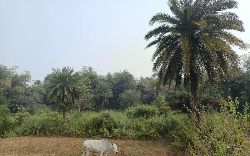 Bokaro Steel City