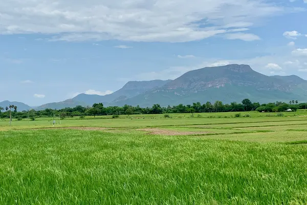 Gudimallam village farms and environment, Andhra Pradesh India