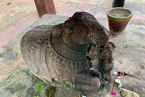 Mahadev Temple Deobaloda Nandi, Durg Chhattisgarh - 36
