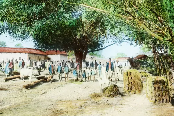 Bhithirwa (sic) village, Gopalganj, India, ca. 1915 (IMP-CSCNWW33-OS14-46)