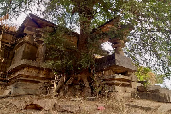 Chikati Gudi, Kothapali Haveli, Telangana - 69