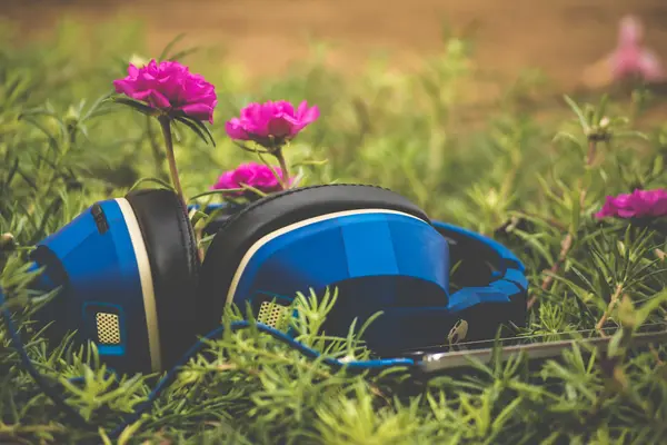 Music and flowers (Unsplash)