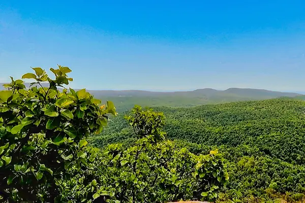 Forests below Chaiturgarh Fort Chhattisgarh 007
