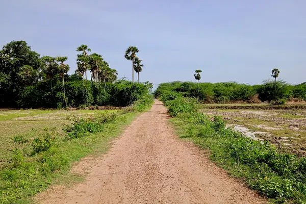 Ancient Buddhist site, Kalingapatnam Andhra Pradesh - 32