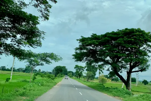 Palampet village and nearby farmlands, Telangana India - 2