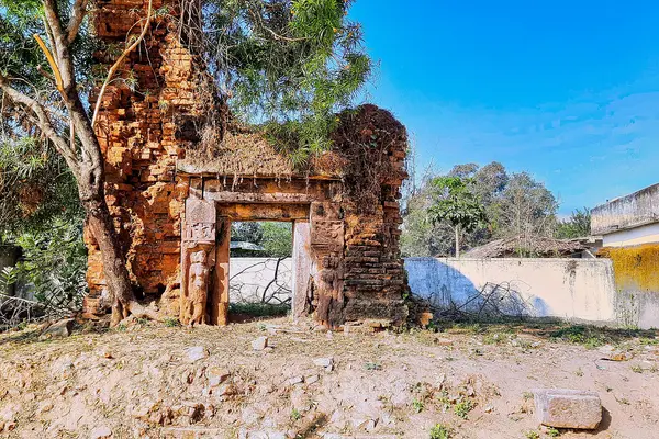 Vishnu temple ruins, Pujaripali Maharajpur Chhattisgarh 002