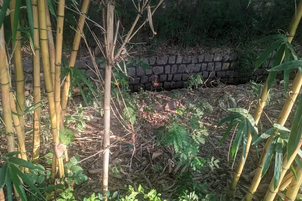 Water Drainage near Bhel Abdul Kalam Park wide