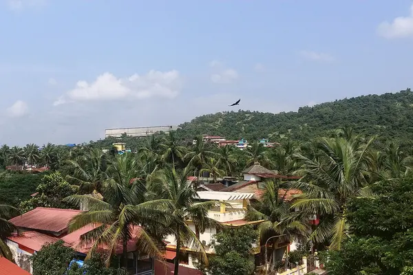 Gogol, Goa
