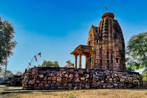 0122121 9th-century Sun temple, Madkhera Tikamgarh, Madhya Pradesh 059