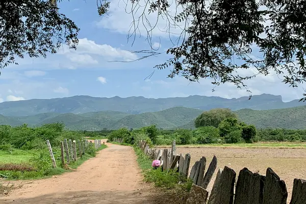Gudimallam village road, Andhra Pradesh India