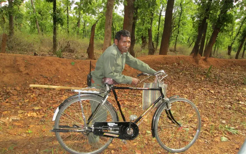Bandhavgarh forest patrol guard patrolling Magdhi Zone on a cycle.